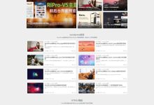 ripro-v5-8.3开心版主题源码-Puo's 学习园地