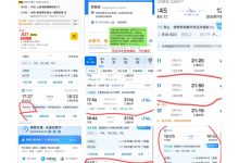 我在胡志新街头卖椰子汁-Puo's 菜园子