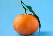 保持内心平静的7种方法-Puo's 菜园子