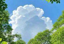 正向反馈,有多重要?-Puo's 菜园子