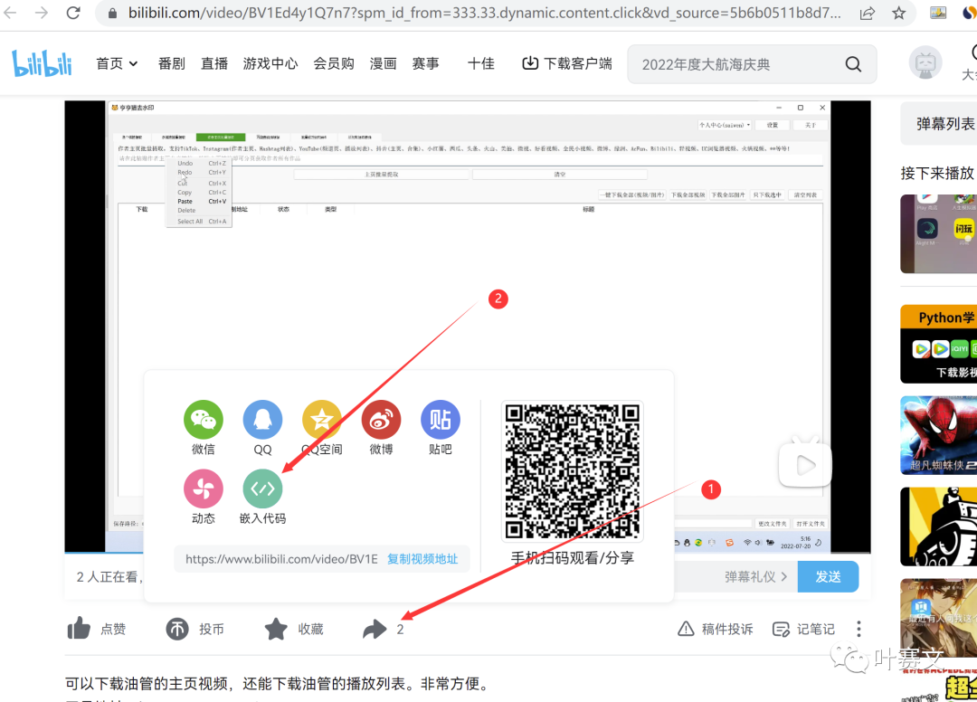 如何在WordPress中插入B站视频-Puo's 菜园子