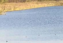 人到中年：变强大的三个标志-Puo's 菜园子