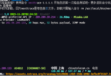 收了个狐蒂云的春节美国A（2026）的vps-Puo's 菜园子