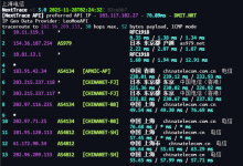 又收了一台狐蒂云日本12H12G的vps,和之前的对比一下吧-Puo's 菜园子