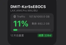 dmit 小组件分享-Puo's 菜园子