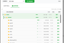 宝塔面板服务器清理辅助工具V1.0-Puo's 菜园子