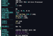 接着购买狐蒂云美国8H8G-100Mbps*2台-Puo's 菜园子